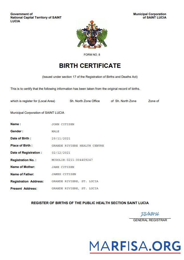 Printable Saint Lucia birth certificate Word and PDF template